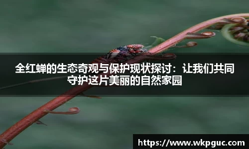 全红蝉的生态奇观与保护现状探讨：让我们共同守护这片美丽的自然家园