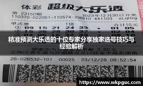 精准预测大乐透的十位专家分享独家选号技巧与经验解析