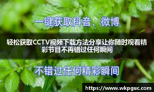 轻松获取CCTV视频下载方法分享让你随时观看精彩节目不再错过任何瞬间