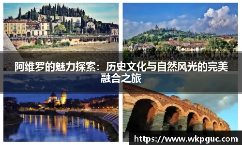 阿维罗的魅力探索：历史文化与自然风光的完美融合之旅