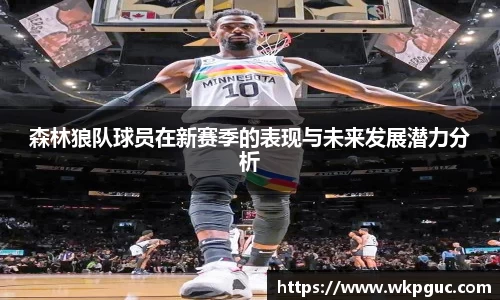 森林狼队球员在新赛季的表现与未来发展潜力分析