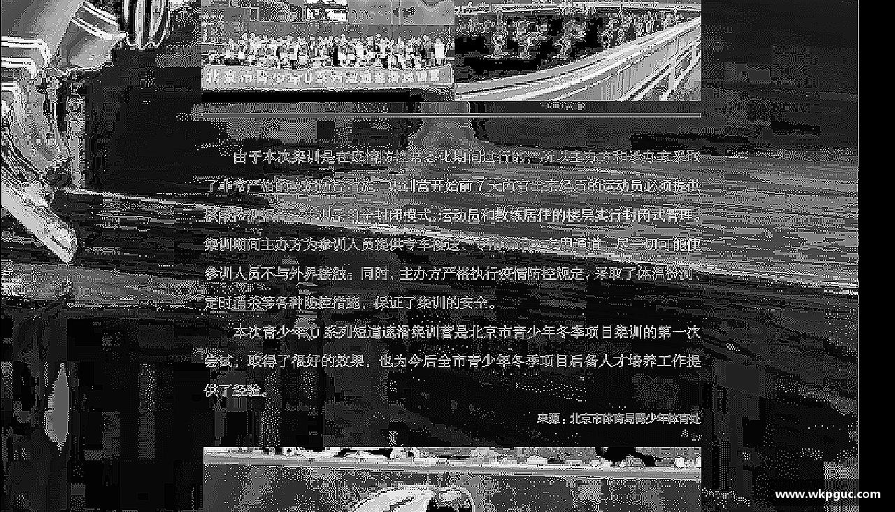 公司服务